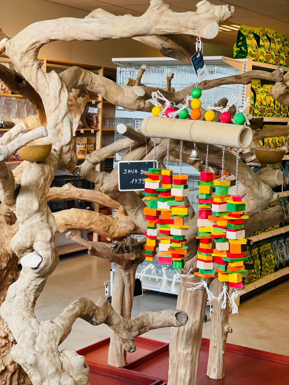 accessoires oiseaux jouet oiseaux Parrots Shop Namur