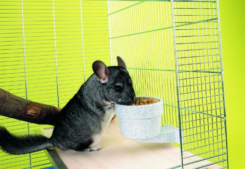 Savic Crock Feeding Dish with Screw Fastening - 300ml