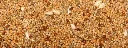 perruches essentiel - Copie.webp