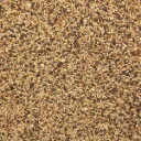 canari extra.webp