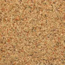 perruches elevage super.webp