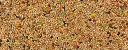 crisps tropical - Copie.webp