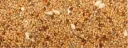 perruches essentiel - Copie.webp