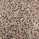 canari excellent.webp