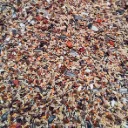 bouvreuil excellent - Copie.webp