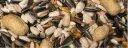 essentiel perroquet - Copie.webp