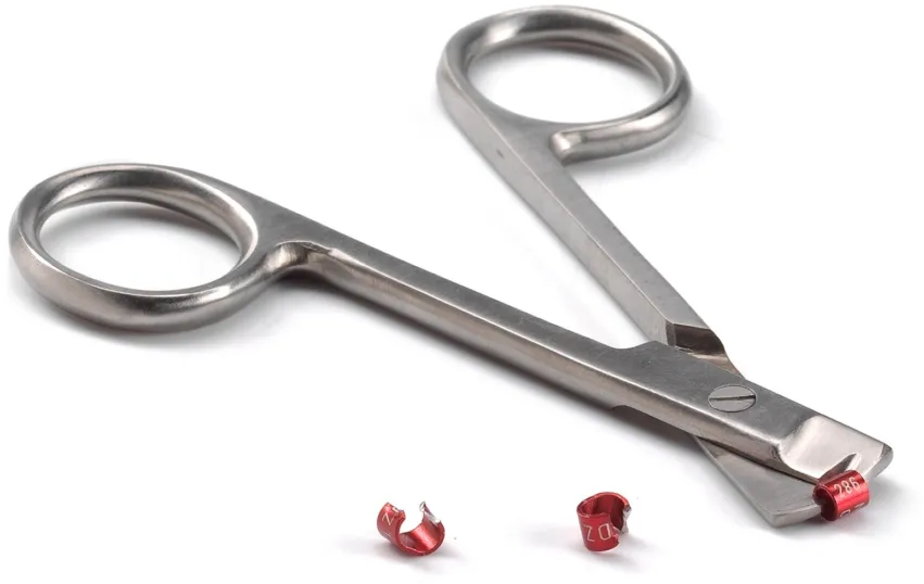 CISEAUX INOX POUR BAGUE OISEAUX