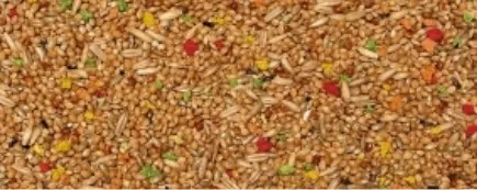 [VAN-170795] 0.900KG PERRUCHES - RAINBOW CRISP