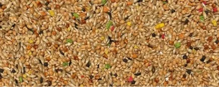 [VAN-170681] 0.900KG EXOTIQUES BISCUIT - RAINBOW CRISP