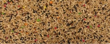 [VAN-170378] 2.5KG CANARIES - RAINBOW CRISP