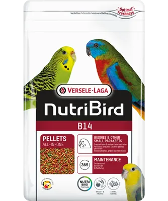 [VER-422101] B14 Entretien - Tropical