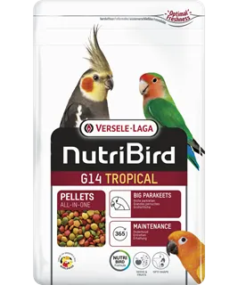 G14 Entretien - Tropical