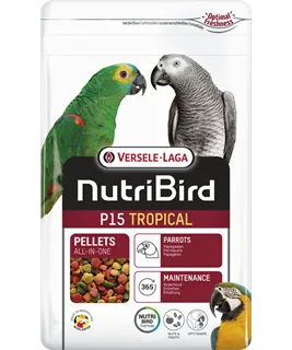 [VER-422128] P15 Entretien - Tropical