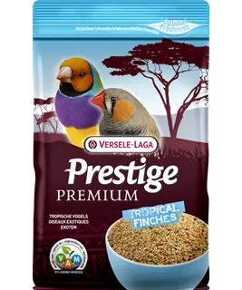 [VER-421512] Oiseaux Exotiques