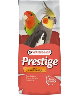 Grandes Perruches