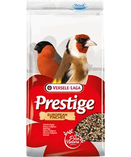 [VER-421239] Oiseaux Indigènes