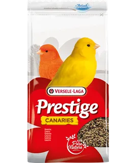 [VER-421078] Canaris Gourmet