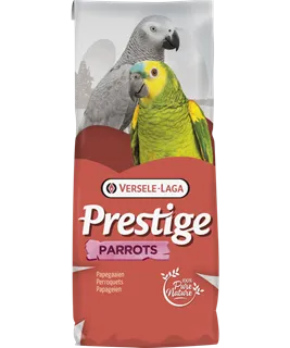 [VER-421818] Perroquets Fruit Mega