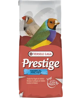[VER-421518] Oiseaux Exotiques