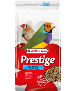 [VER-421521] Oiseaux Exotiques