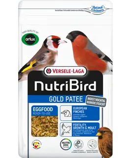 [VER-422240] Gold Patee Oiseaux Indigènes