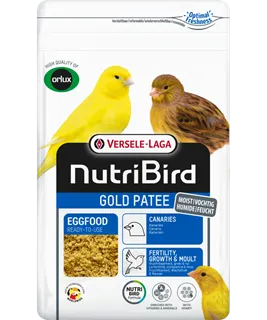 Gold Patee Canaris