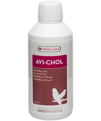 [VER-460224] Avi-Chol