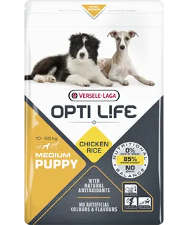 [VER-431153] Puppy Medium