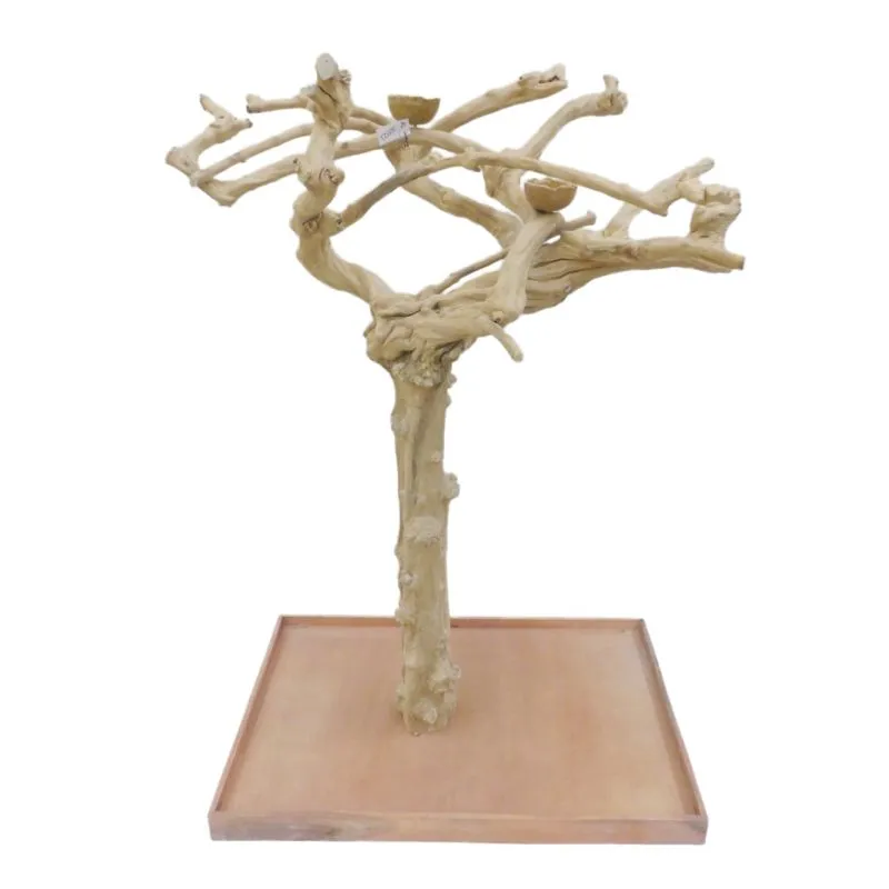 [WAG-H71009-A0063] Java arbre libre en bois de café