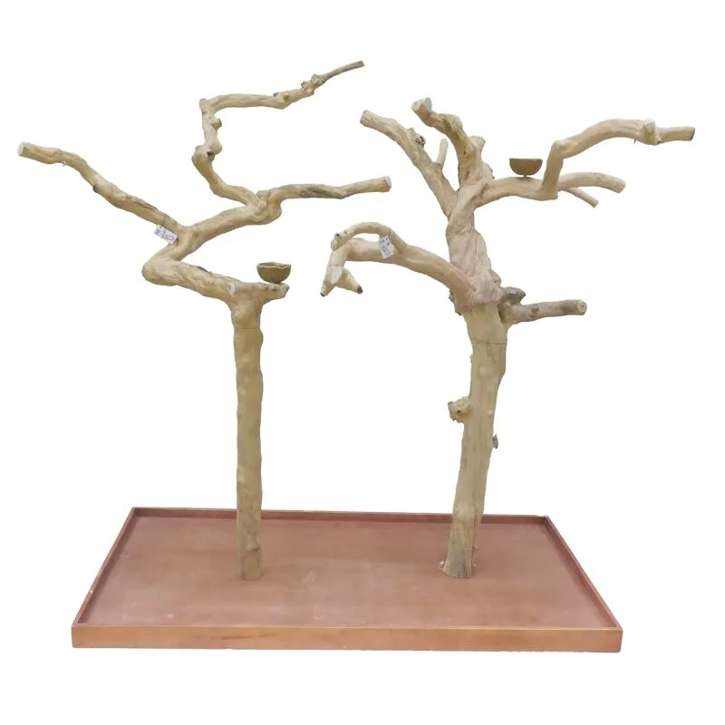 [WAG-H71009-A0064] Java double arbre en bois de café