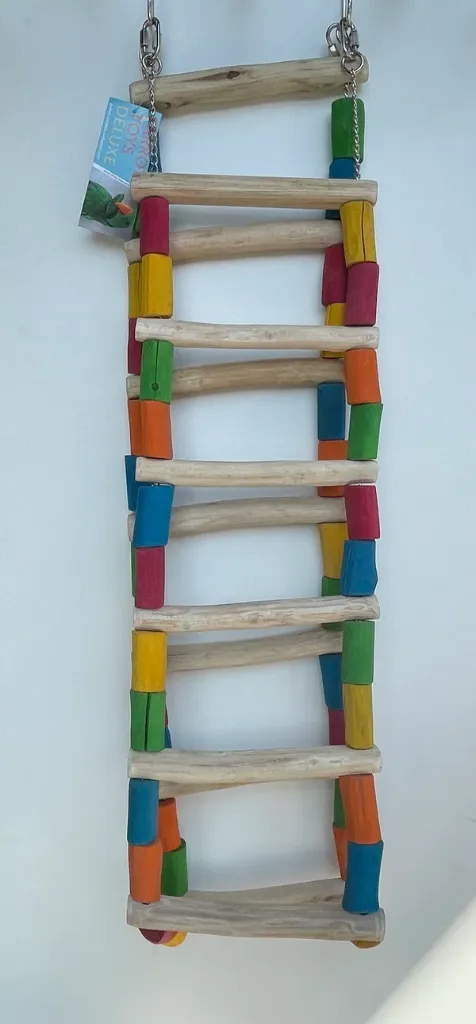Echelle 150cm