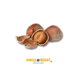 noisettes